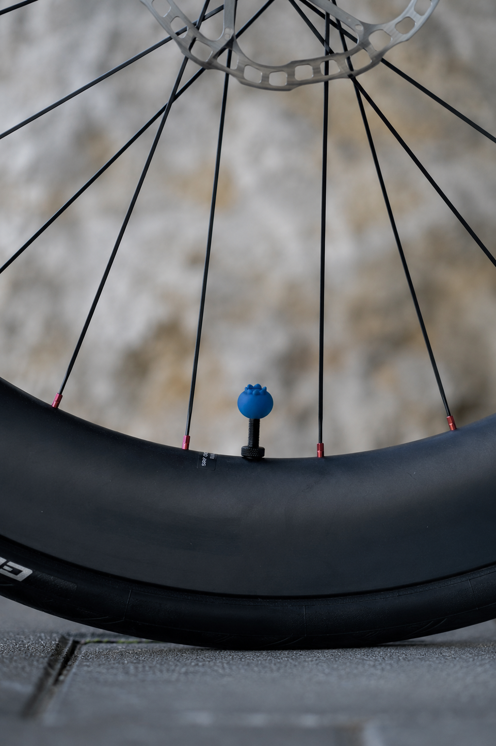 Blaubeere Ventilkappe (Presta)