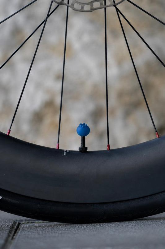 Blaubeere Ventilkappe (Schrader)